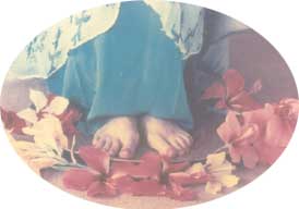 Lotus feet of The mother 