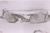 Sri Aurobindo's Feet